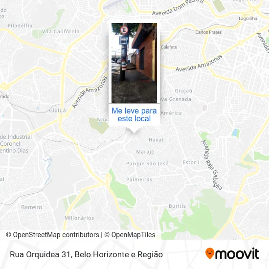 Rua Orquidea 31 mapa