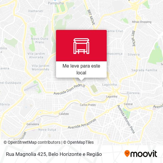 Rua Magnolia 425 mapa