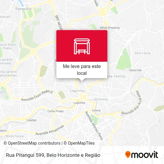 Rua Pitangui 599 mapa