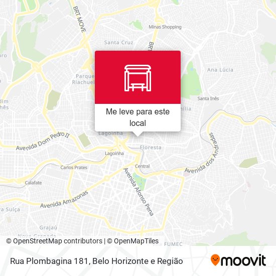 Rua Plombagina 181 mapa