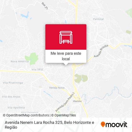 Avenida Nenem Lara Rocha 325 mapa