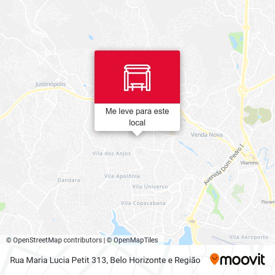 Rua Maria Lucia Petit 313 mapa