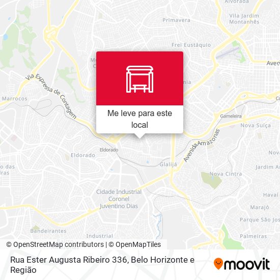 Rua Ester Augusta Ribeiro 336 mapa