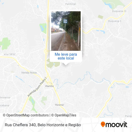 Rua Cheflera 340 mapa