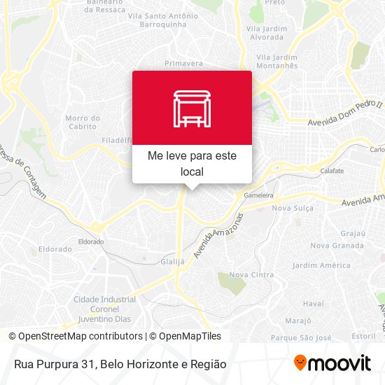 Rua Purpura 31 mapa