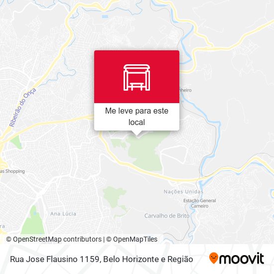 Rua Jose Flausino 1159 mapa