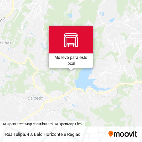 Rua Tulipa, 43 mapa