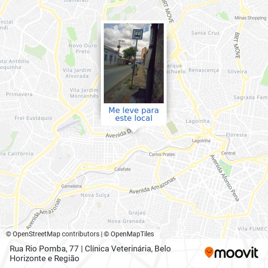 Rua Rio Pomba, 77 | Clínica Veterinária mapa
