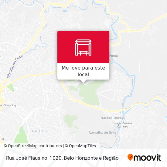 Rua José Flausino, 1020 mapa