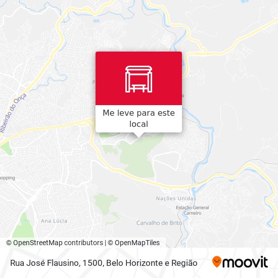 Rua José Flausino, 1500 mapa