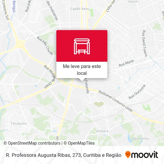 R. Professora Augusta Ribas, 273 mapa