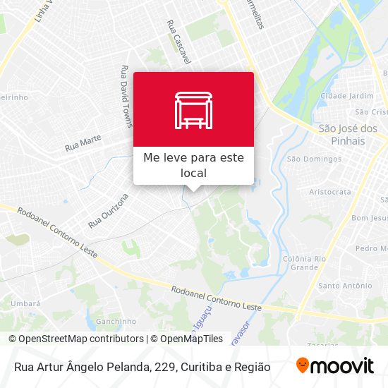 Rua Artur Ângelo Pelanda, 229 mapa