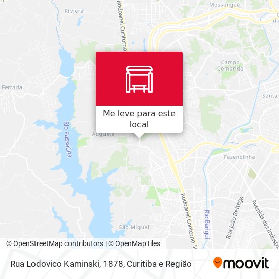Rua Lodovico Kaminski, 1878 mapa
