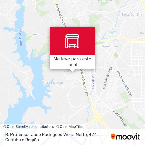 R. Professor José Rodrigues Vieira Netto, 424 mapa