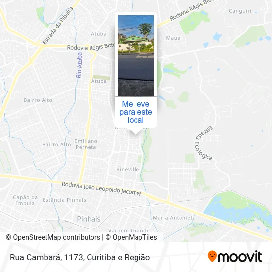 Rua Cambará, 1173 mapa