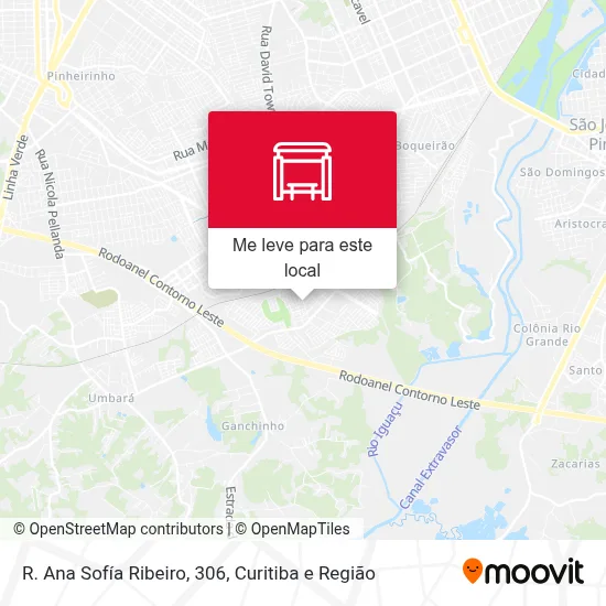 R. Ana Sofía Ribeiro, 306 mapa