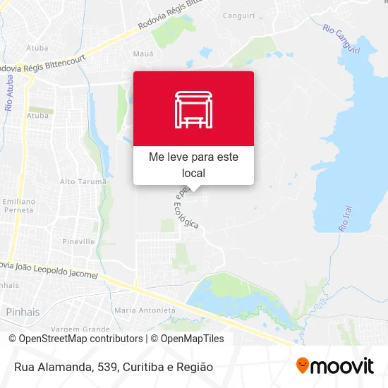 Rua Alamanda, 539 mapa