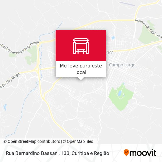 Rua Bernardino Bassani, 133 mapa
