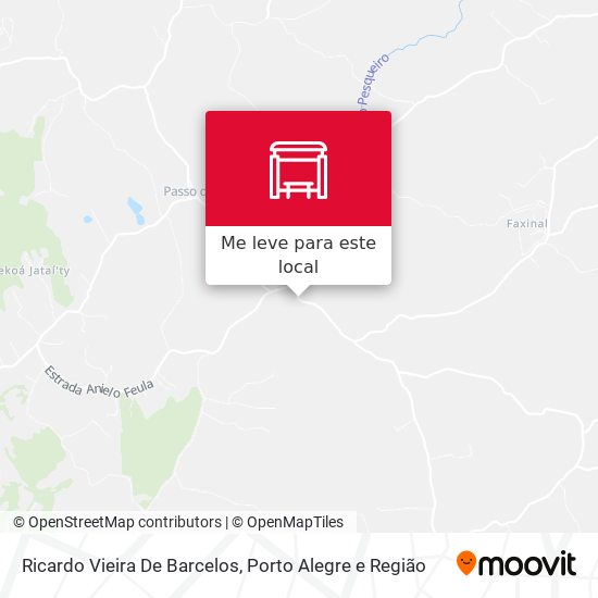 Ricardo Vieira De Barcelos mapa