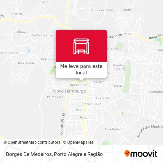 Borges De Medeiros mapa