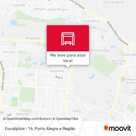 Eucaliptos - 16 mapa
