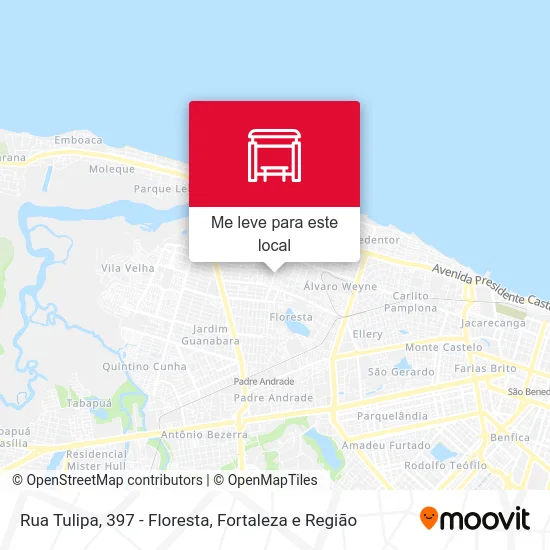 Rua Tulipa, 397 - Floresta mapa