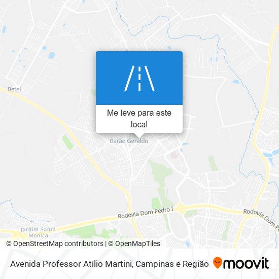 Avenida Professor Atílio Martini mapa