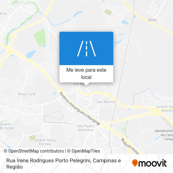 Rua Irene Rodrigues Porto Pelegrini mapa