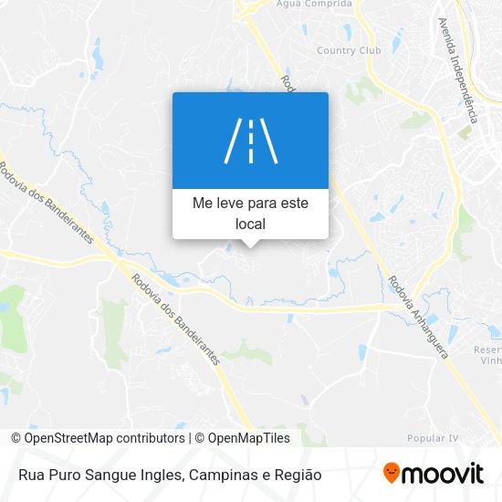 Rua Puro Sangue Ingles mapa