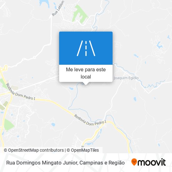 Rua Domingos Mingato Junior mapa