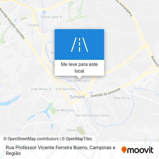 Rua Professor Vicente Ferreira Bueno mapa