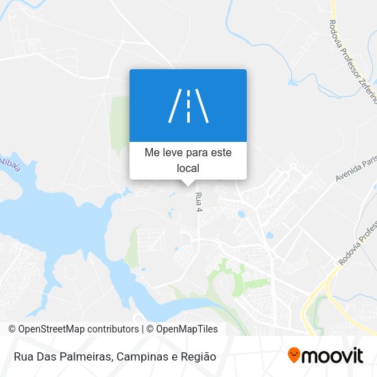 Rua Das Palmeiras mapa