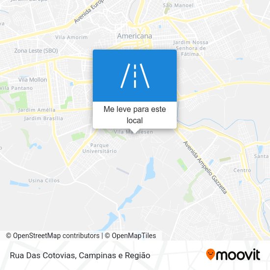 Rua Das Cotovias mapa
