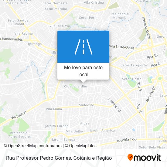 Rua Professor Pedro Gomes mapa