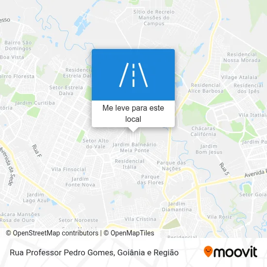 Rua Professor Pedro Gomes mapa