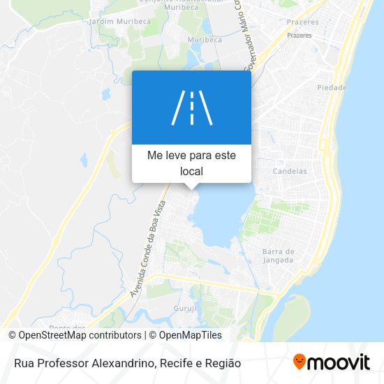 Rua Professor Alexandrino mapa