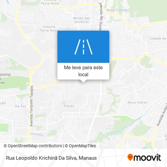 Rua Leopoldo Krichinã Da Silva mapa