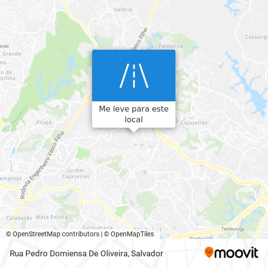 Rua Pedro Domiensa De Oliveira mapa