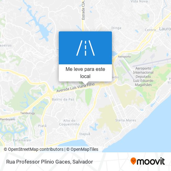 Rua Professor Plinio Gaces mapa