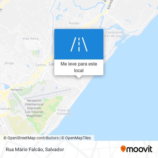 Rua Mário Falcão mapa