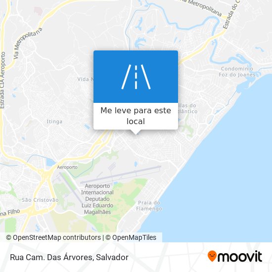 Rua Cam. Das Árvores mapa