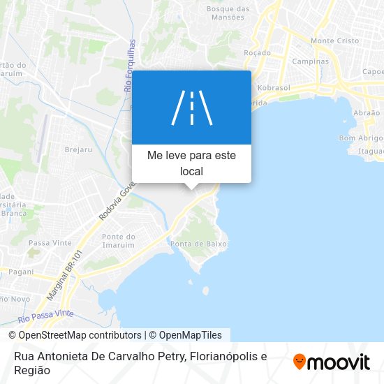 Rua Antonieta De Carvalho Petry mapa
