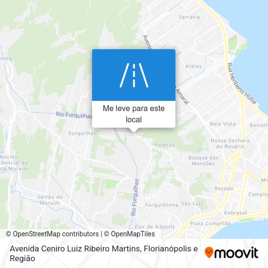 Avenida Ceniro Luiz Ribeiro Martins mapa