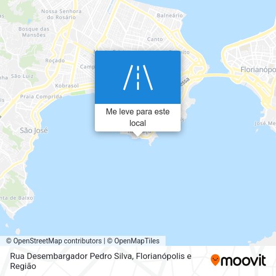 Rua Desembargador Pedro Silva mapa