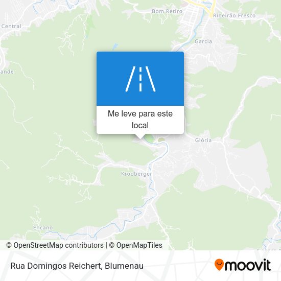 Rua Domingos Reichert mapa