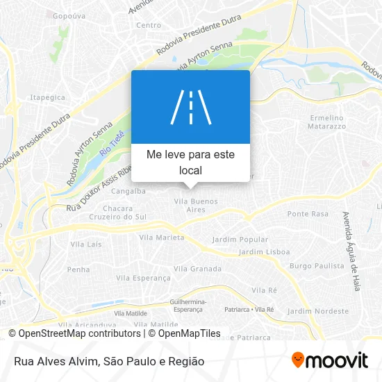 Rua Alves Alvim mapa