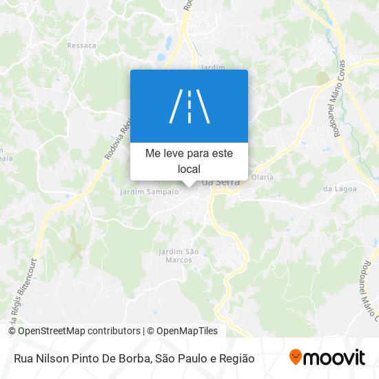 Rua Nilson Pinto De Borba mapa