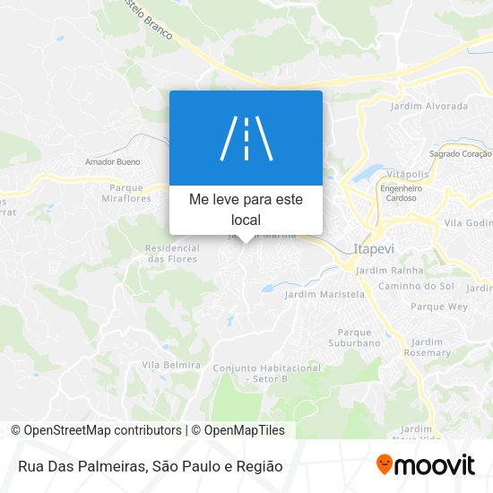 Rua Das Palmeiras mapa