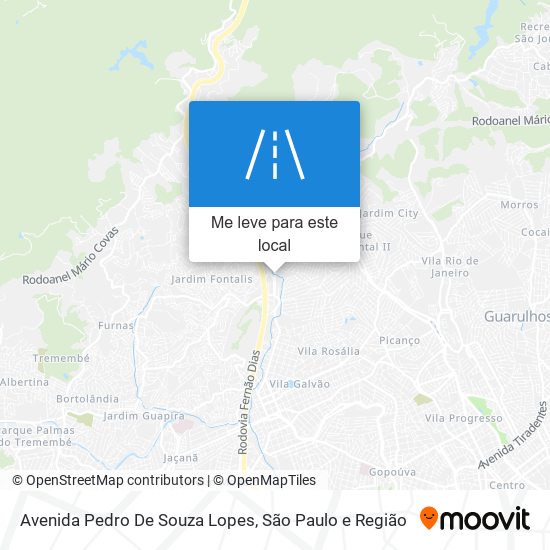 Avenida Pedro De Souza Lopes mapa