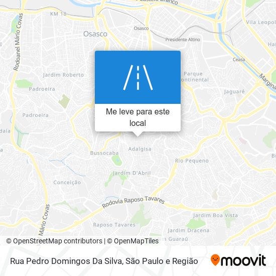 Rua Pedro Domingos Da Silva mapa